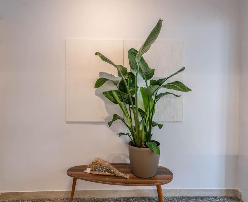 Botanical Apartman Athén Kültér fotó