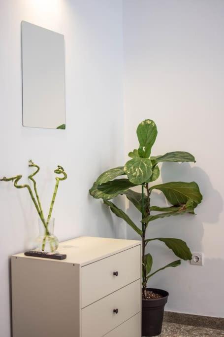 Botanical Apartman Athén Kültér fotó